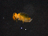  ( - 13885C12_MAR003)  @13 [ ] Unspecified (default): All Rights Reserved (2012) Copyright CIB, Stellenbosch University