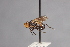  (Melanosoma - CNC Diptera 28402)  @11 [ ] CreativeCommons - Attribution Non-Commercial (2010) Unspecified Agriculture and Agri-Food Canada