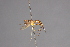  (Stylogaster abdominalis - CNC Diptera 28426)  @11 [ ] CreativeCommons - Attribution Non-Commercial (2010) Unspecified Agriculture and Agri-Food Canada