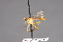  ( - CNC Diptera 28428)  @11 [ ] CreativeCommons - Attribution Non-Commercial (2010) Unspecified Agriculture and Agri-Food Canada