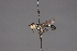  (Callosiconops - CNC Diptera 28447)  @11 [ ] CreativeCommons - Attribution Non-Commercial (2010) Unspecified Agriculture and Agri-Food Canada