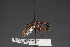  ( - Jeff Skevington Specimen 19040)  @13 [ ] CreativeCommons - Attribution Non-Commercial (2010) Unspecified Agriculture and Agri-Food Canada