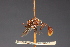  (Physocephala testacea - Jeff Skevington Specimen 19044)  @11 [ ] CreativeCommons - Attribution Non-Commercial (2010) Unspecified Agriculture and Agri-Food Canada