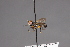  ( - CNC Diptera 28471)  @11 [ ] CreativeCommons - Attribution Non-Commercial (2010) Unspecified Agriculture and Agri-Food Canada