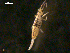  ( - ONTCOL0731)  @14 [ ] CreativeCommons - Attribution (2010) Unspecified Centre for Biodiversity Genomics