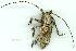  ( - gvc10589-1L)  @12 [ ] Copyright (2004) Unspecified Unspecified