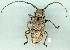  ( - gvc10880-1L)  @13 [ ] Copyright (2004) Unspecified Unspecified