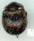  ( - gvc11225-1L)  @12 [ ] Copyright (2004) Unspecified Unspecified