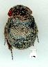  ( - gvc11257-1L)  @12 [ ] Copyright (2004) Unspecified Unspecified