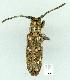  ( - gvc11946-1L)  @11 [ ] Copyright (2004) Unspecified Unspecified
