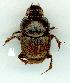  ( - gvc12701-1L)  @12 [ ] Copyright (2004) Unspecified Unspecified