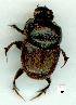  ( - gvc12703-1L)  @13 [ ] Copyright (2004) Unspecified Unspecified