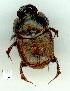  ( - gvc13041-1L)  @12 [ ] Copyright (2004) Unspecified Unspecified