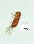  ( - gvc13049-1L)  @12 [ ] Copyright (2004) Unspecified Unspecified