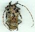  ( - gvc13355-1L)  @13 [ ] Copyright (2004) Unspecified Unspecified