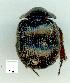  ( - gvc13456-1L)  @12 [ ] Copyright (2004) Unspecified Unspecified