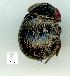 ( - gvc13460-1L)  @12 [ ] Copyright (2004) Unspecified Unspecified