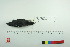  ( - TA 4030)  @12 [ ] Unspecified (default): All Rights Reserved  Unspecified Unspecified