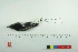  ( - TA 4030)  @13 [ ] Unspecified (default): All Rights Reserved  Unspecified Unspecified