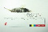  ( - TA 4033)  @11 [ ] Unspecified (default): All Rights Reserved  Unspecified Unspecified