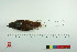  ( - TA 4034)  @13 [ ] Unspecified (default): All Rights Reserved  Unspecified Unspecified