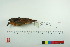  ( - TA 4034)  @13 [ ] Unspecified (default): All Rights Reserved  Unspecified Unspecified
