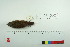  ( - TA 4044)  @13 [ ] Unspecified (default): All Rights Reserved  Unspecified Unspecified