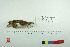  ( - TA 4044)  @13 [ ] Unspecified (default): All Rights Reserved  Unspecified Unspecified