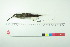  ( - TA 4083)  @11 [ ] Unspecified (default): All Rights Reserved  Unspecified Unspecified