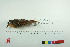 ( - TA 4106)  @13 [ ] Unspecified (default): All Rights Reserved  Unspecified Unspecified