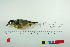  ( - TA 4108)  @13 [ ] Unspecified (default): All Rights Reserved  Unspecified Unspecified