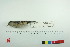  ( - TA 419)  @11 [ ] Unspecified (default): All Rights Reserved  Unspecified Unspecified