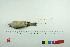  ( - TA 419)  @11 [ ] Unspecified (default): All Rights Reserved  Unspecified Unspecified