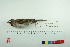  ( - TA 424)  @13 [ ] Unspecified (default): All Rights Reserved  Unspecified Unspecified