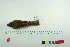  ( - TA 433)  @12 [ ] Unspecified (default): All Rights Reserved  Unspecified Unspecified