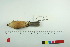  ( - TA 433)  @12 [ ] Unspecified (default): All Rights Reserved  Unspecified Unspecified