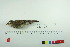  ( - TA 436)  @13 [ ] Unspecified (default): All Rights Reserved  Unspecified Unspecified