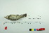  ( - TA 436)  @13 [ ] Unspecified (default): All Rights Reserved  Unspecified Unspecified