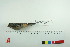  ( - TA 438)  @13 [ ] Unspecified (default): All Rights Reserved  Unspecified Unspecified