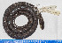  ( - UIS-CT2669)  @11 [ ] Unspecified (default): All Rights Reserved  Museo de Historia Natural UIS Universidad Industrial de Santander