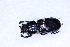  ( - COLTAC052)  @11 [ ] CreativeCommons  Attribution Share-Alike (by-sa) (2017) Colección de Insectos El Colegio de la Frontera Sur, Unidad Tapachula