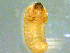  ( - ETH-CPPB)  @12 [ ] CreativeCommons - Attribution Non-Commercial Share-Alike (2016) Unspecified University of Kassel