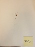  ( - MCF-250)  @11 [ ] copyright (2021) Unspecified Columbus State University