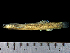  ( - MZUEL11776TD22)  @11 [ ] Copyright (2015) Raul H. C. Nascimento Universidade Estadual de Londrina