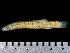  ( - MZUEL11776TD23)  @11 [ ] Copyright (2015) Raul H. C. Nascimento Universidade Estadual de Londrina