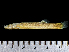  ( - MZUEL11776TD24)  @11 [ ] Copyright (2015) Raul H. C. Nascimento Universidade Estadual de Londrina