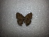  ( - CQR-0759)  @11 [ ] Copyright (2013) Unspecified Unspecified