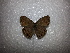  ( - CQR-0760)  @13 [ ] Copyright (2013) Unspecified Unspecified