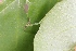  ( - CQR-0487)  @12 [ ] Copyright  Unspecified Unspecified