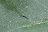  ( - CQR-0790)  @12 [ ] Copyright  Unspecified Unspecified